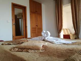 Гостевой дом Guest House Grachenovi Банско Полулюкс-1